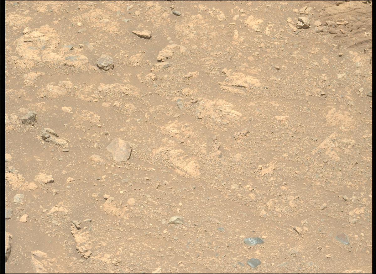 This image was taken by MCZ_LEFT onboard NASA's Mars rover Perseverance on Sol 1650