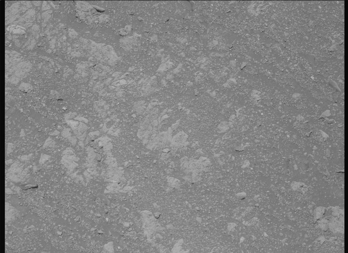 This image was taken by MCZ_LEFT onboard NASA's Mars rover Perseverance on Sol 1650