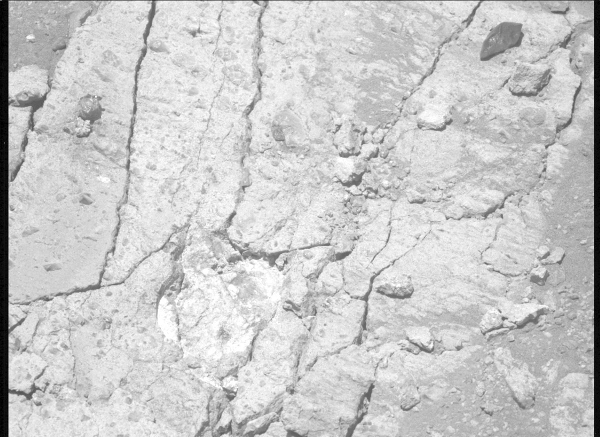 This image was taken by MCZ_LEFT onboard NASA's Mars rover Perseverance on Sol 1650
