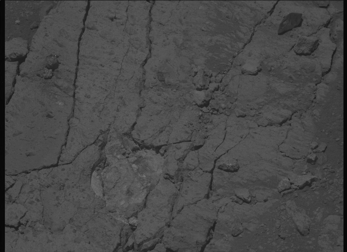 This image was taken by MCZ_LEFT onboard NASA's Mars rover Perseverance on Sol 1650