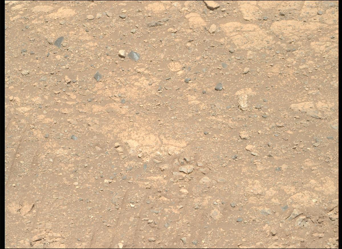 This image was taken by MCZ_RIGHT onboard NASA's Mars rover Perseverance on Sol 1650