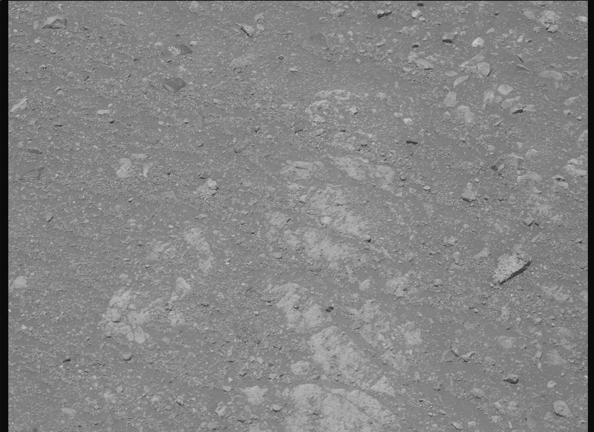 This image was taken by MCZ_RIGHT onboard NASA's Mars rover Perseverance on Sol 1650