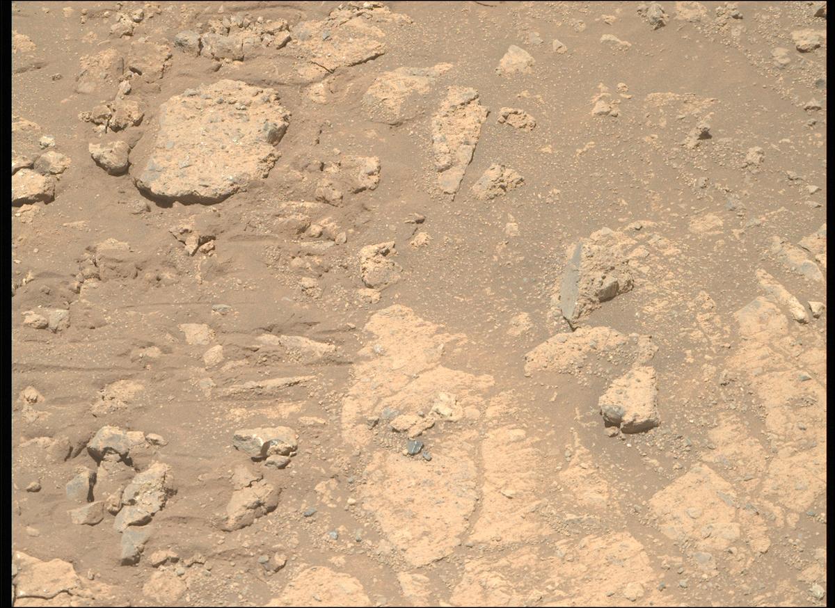 This image was taken by MCZ_RIGHT onboard NASA's Mars rover Perseverance on Sol 1650
