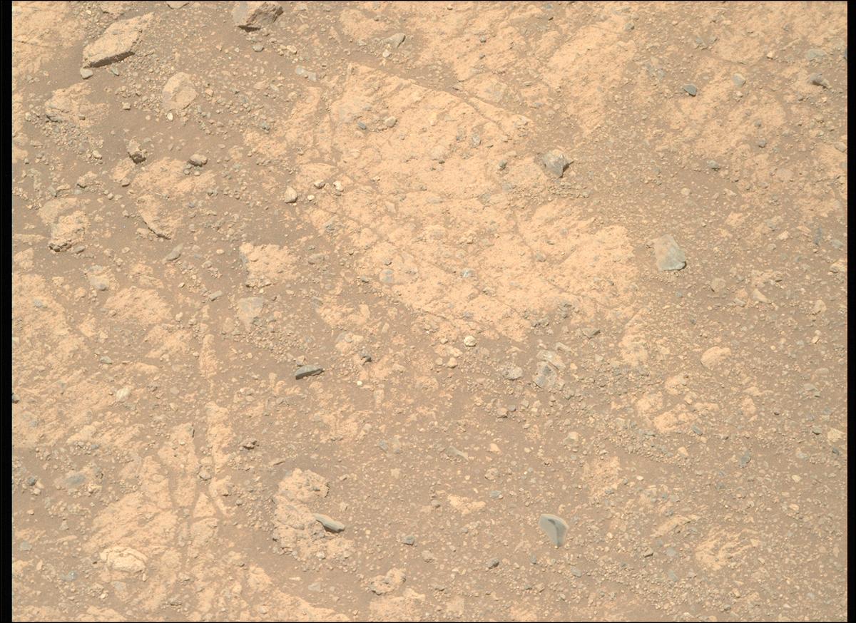 This image was taken by MCZ_RIGHT onboard NASA's Mars rover Perseverance on Sol 1650
