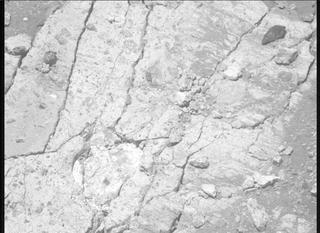 View image taken on Mars, Mars Perseverance Sol 1650: Right Mastcam-Z Camera