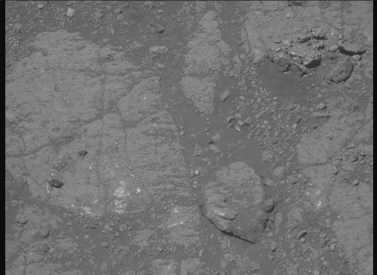 This image was taken by MCZ_RIGHT onboard NASA's Mars rover Perseverance on Sol 1651