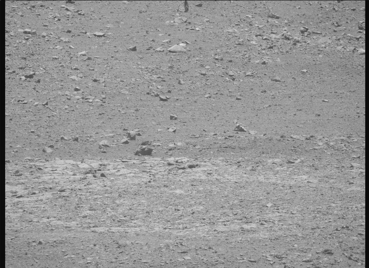 This image was taken by MCZ_RIGHT onboard NASA's Mars rover Perseverance on Sol 1651