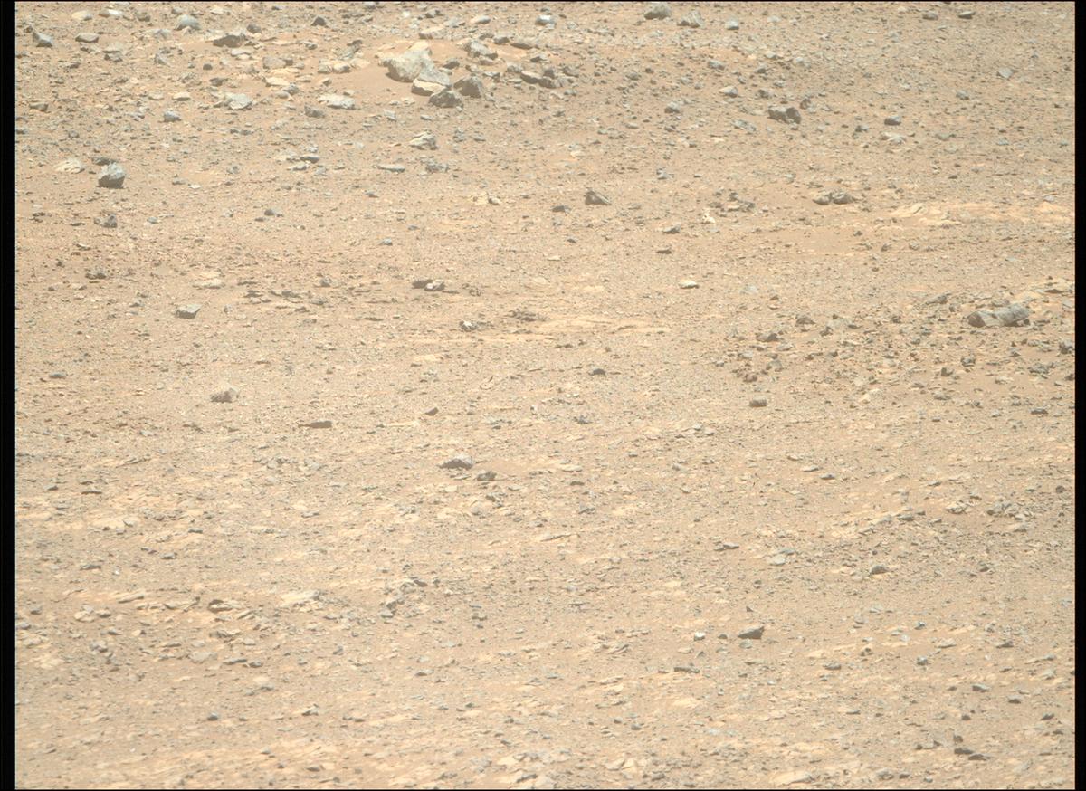 This image was taken by MCZ_RIGHT onboard NASA's Mars rover Perseverance on Sol 1651