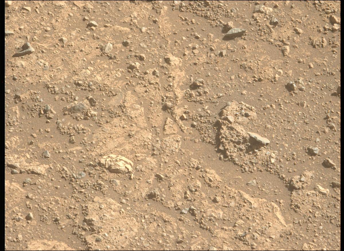 This image was taken by MCZ_LEFT onboard NASA's Mars rover Perseverance on Sol 1652