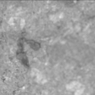 View image taken on Mars, Mars Perseverance Sol 1653: SHERLOC ACI Camera 