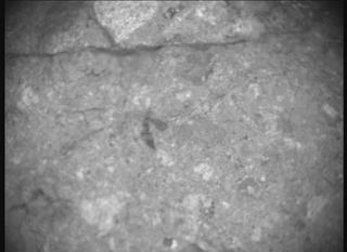 View image taken on Mars, Mars Perseverance Sol 1653: SHERLOC ACI Camera 