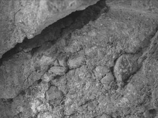 View image taken on Mars, Mars Perseverance Sol 1660: WATSON Camera 