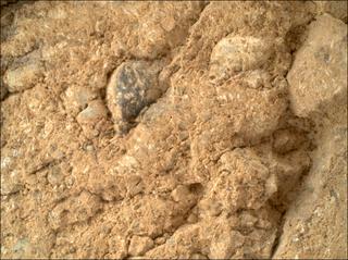 View image taken on Mars, Mars Perseverance Sol 1660: WATSON Camera 