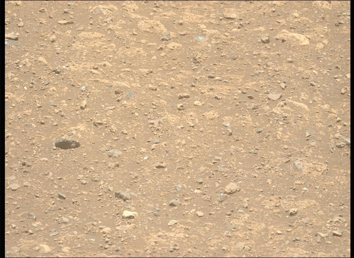 This image was taken by MCZ_LEFT onboard NASA's Mars rover Perseverance on Sol 1660