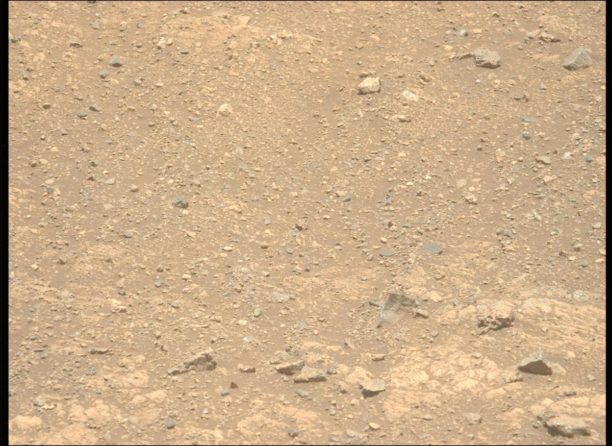 This image was taken by MCZ_LEFT onboard NASA's Mars rover Perseverance on Sol 1660