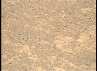View image taken on Mars, Mars Perseverance Sol 1660: Left Mastcam-Z Camera