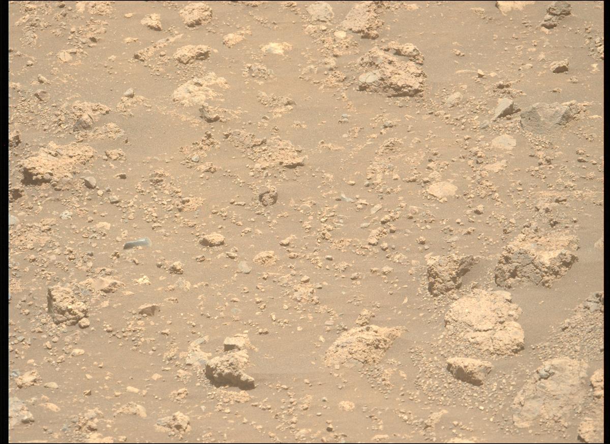 This image was taken by MCZ_LEFT onboard NASA's Mars rover Perseverance on Sol 1660