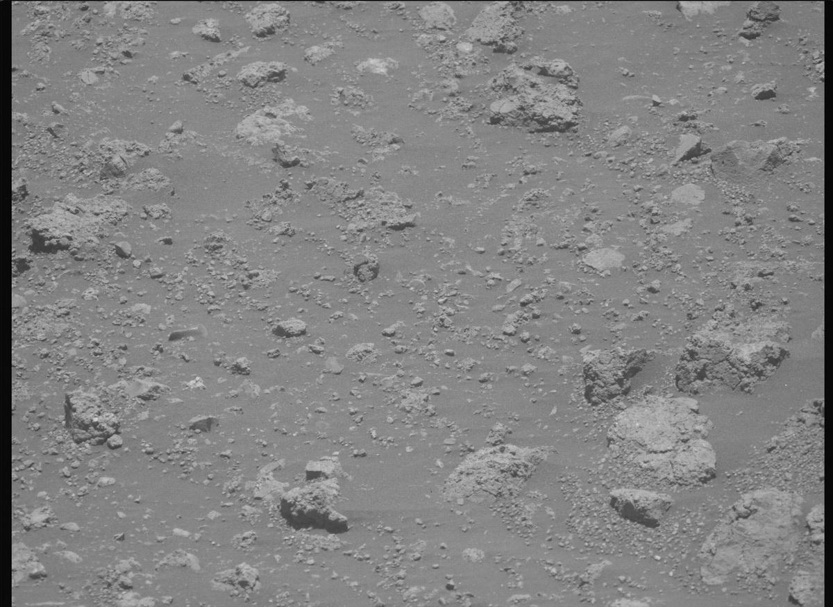 This image was taken by MCZ_LEFT onboard NASA's Mars rover Perseverance on Sol 1660