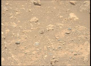 View image taken on Mars, Mars Perseverance Sol 1660: Left Mastcam-Z Camera