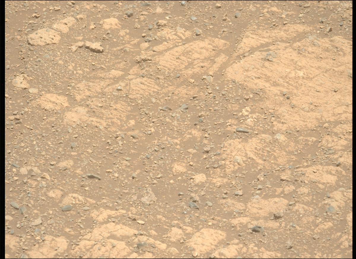 This image was taken by MCZ_LEFT onboard NASA's Mars rover Perseverance on Sol 1660