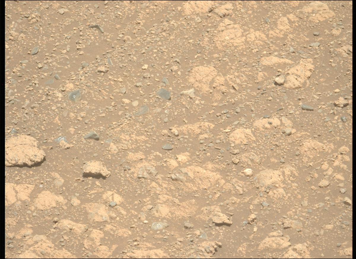 This image was taken by MCZ_LEFT onboard NASA's Mars rover Perseverance on Sol 1660