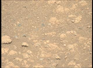 View image taken on Mars, Mars Perseverance Sol 1660: Left Mastcam-Z Camera