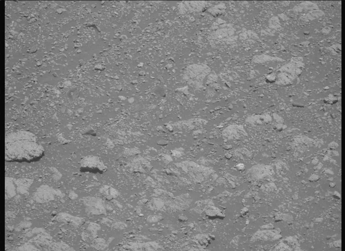 This image was taken by MCZ_LEFT onboard NASA's Mars rover Perseverance on Sol 1660