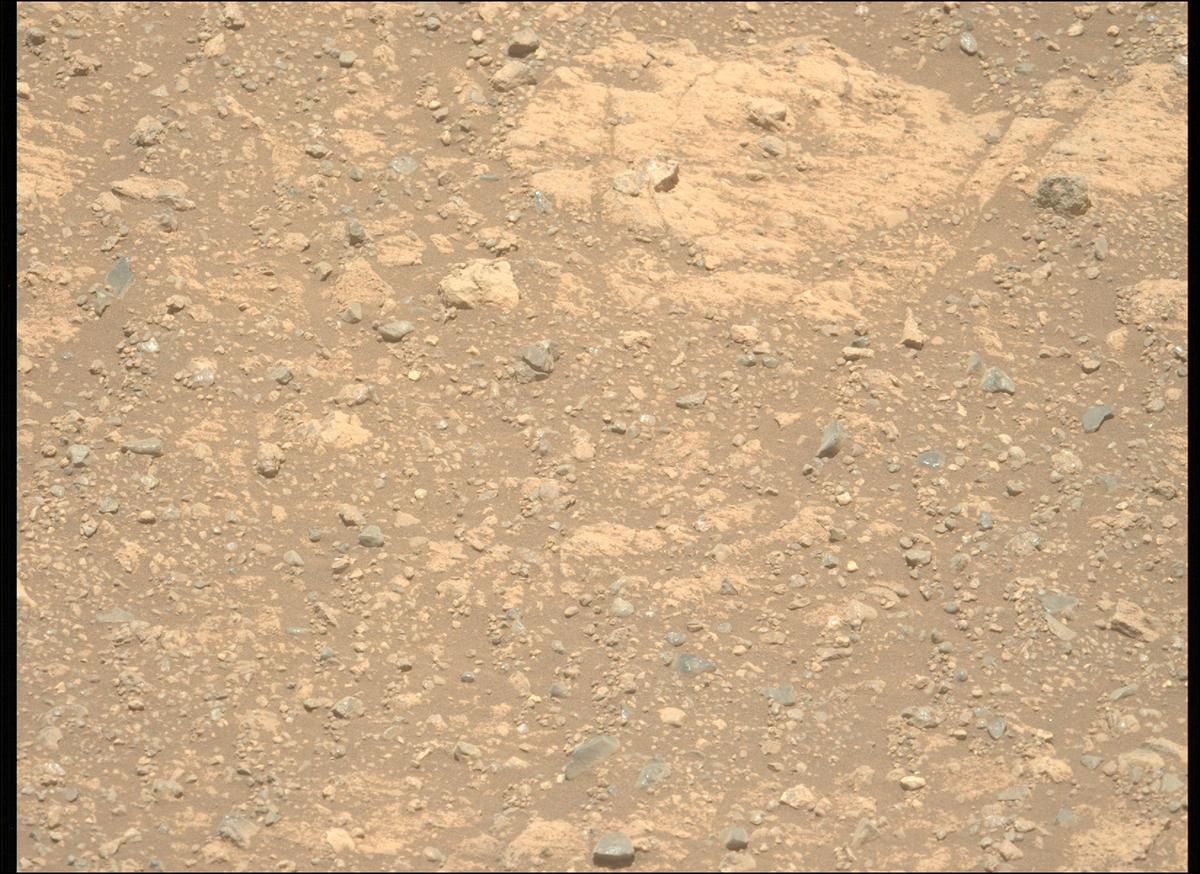 This image was taken by MCZ_LEFT onboard NASA's Mars rover Perseverance on Sol 1660