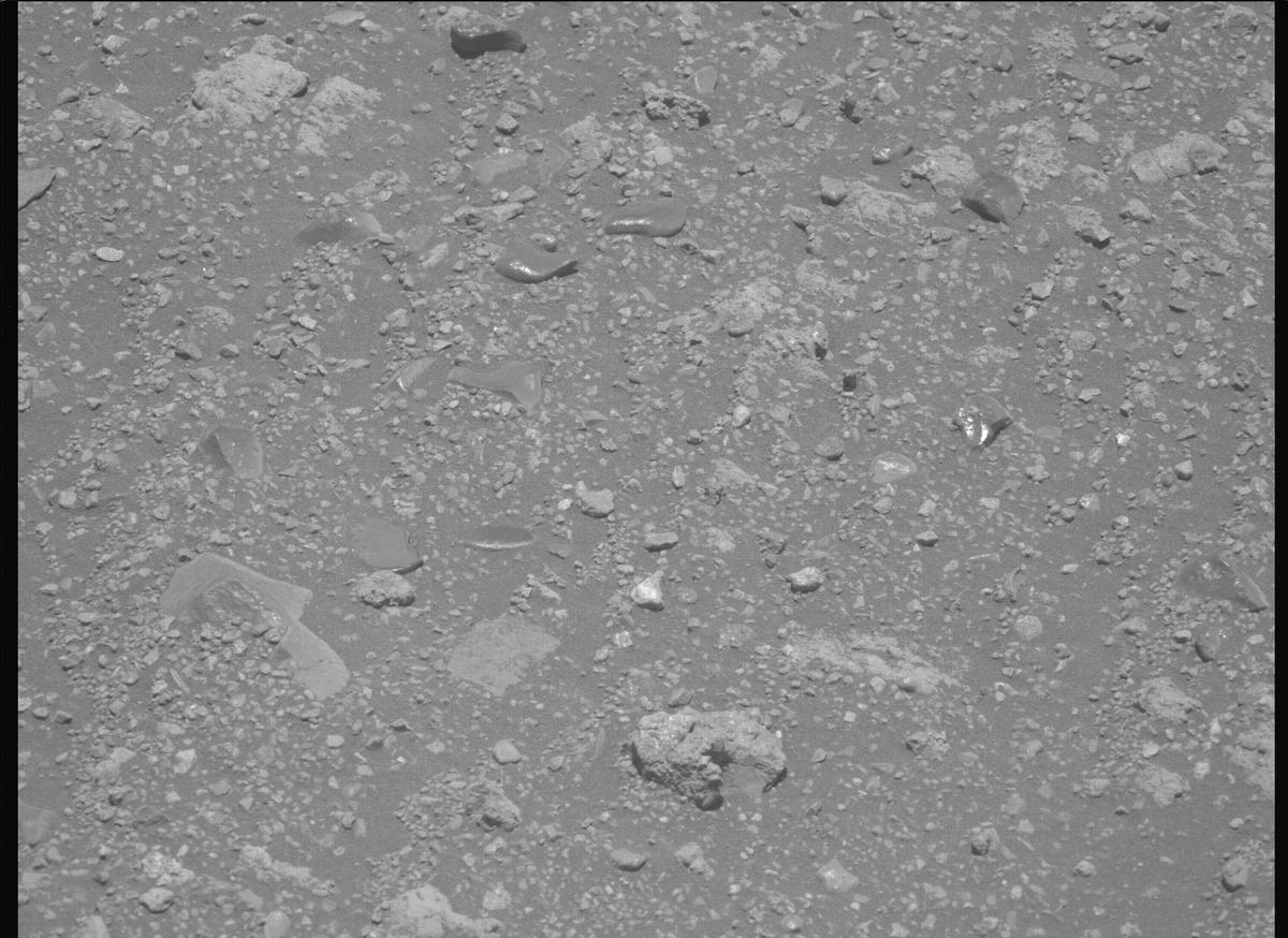 This image was taken by MCZ_LEFT onboard NASA's Mars rover Perseverance on Sol 1660