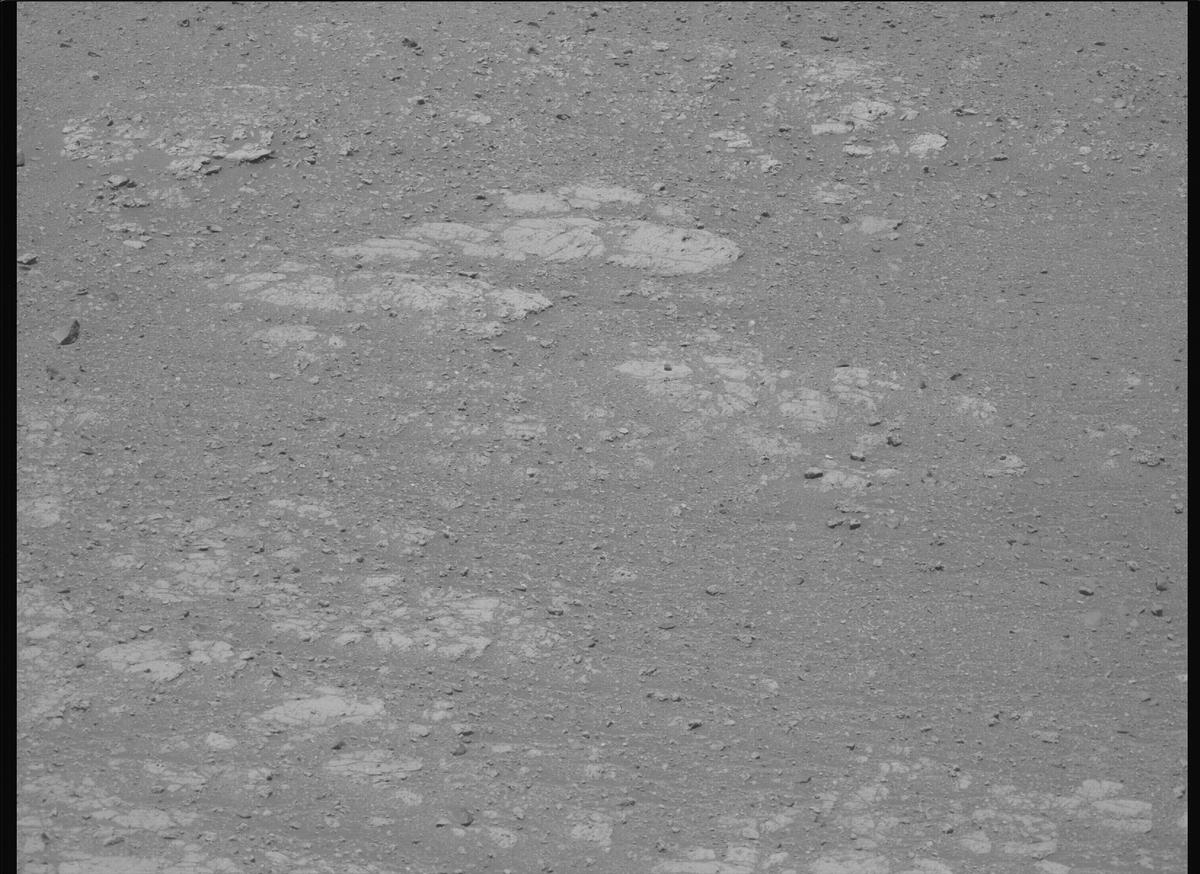This image was taken by MCZ_LEFT onboard NASA's Mars rover Perseverance on Sol 1660