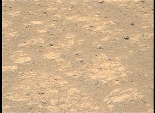 View image taken on Mars, Mars Perseverance Sol 1660: Left Mastcam-Z Camera