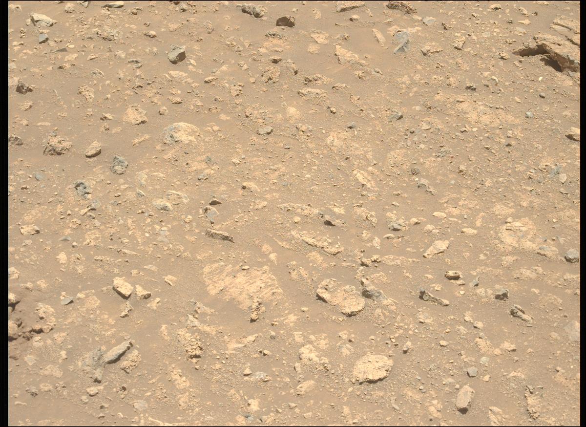 This image was taken by MCZ_LEFT onboard NASA's Mars rover Perseverance on Sol 1660