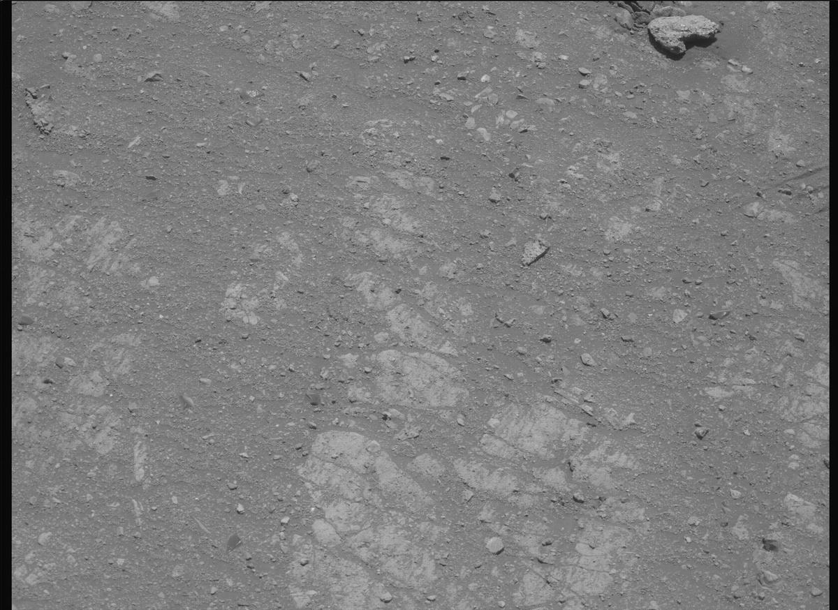 This image was taken by MCZ_LEFT onboard NASA's Mars rover Perseverance on Sol 1660