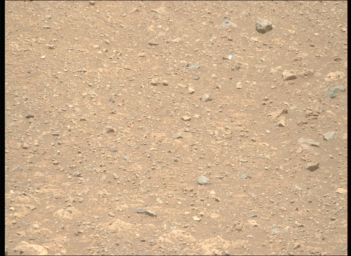 This image was taken by MCZ_RIGHT onboard NASA's Mars rover Perseverance on Sol 1660