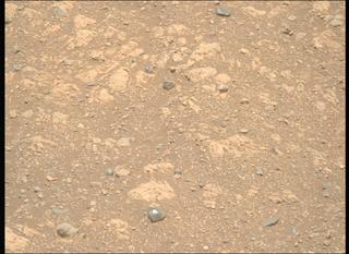 View image taken on Mars, Mars Perseverance Sol 1660: Right Mastcam-Z Camera
