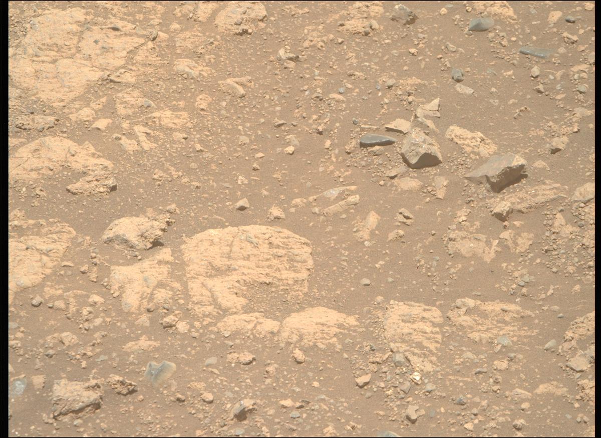 This image was taken by MCZ_RIGHT onboard NASA's Mars rover Perseverance on Sol 1660