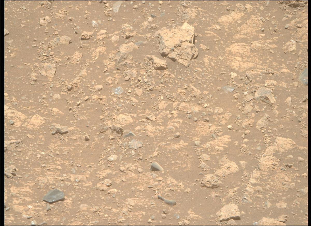 This image was taken by MCZ_RIGHT onboard NASA's Mars rover Perseverance on Sol 1660