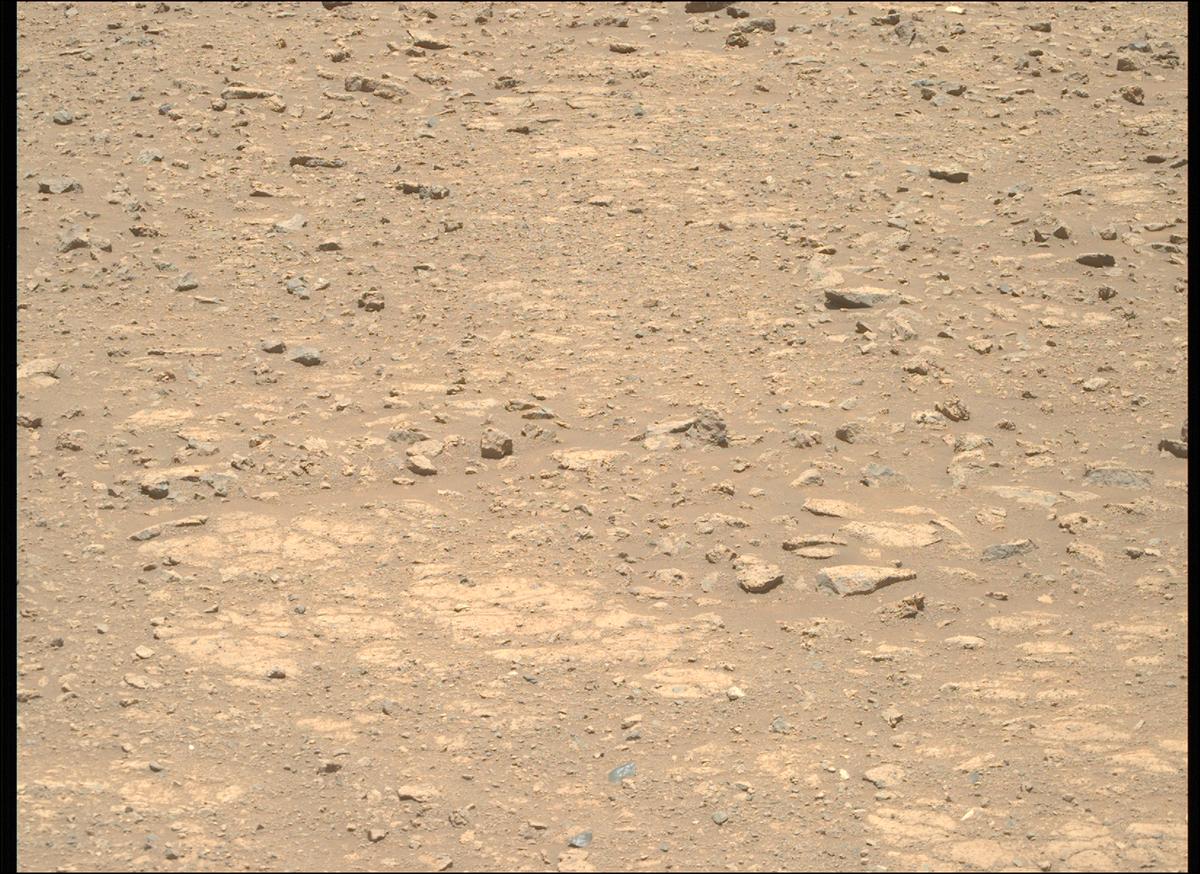 This image was taken by MCZ_RIGHT onboard NASA's Mars rover Perseverance on Sol 1660