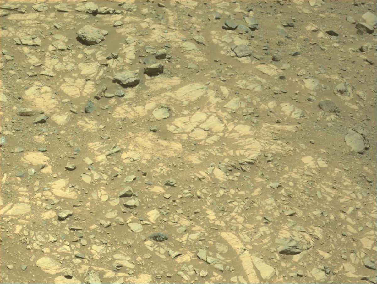 This image was taken by NAVCAM_LEFT onboard NASA's Mars rover Perseverance on Sol 1661