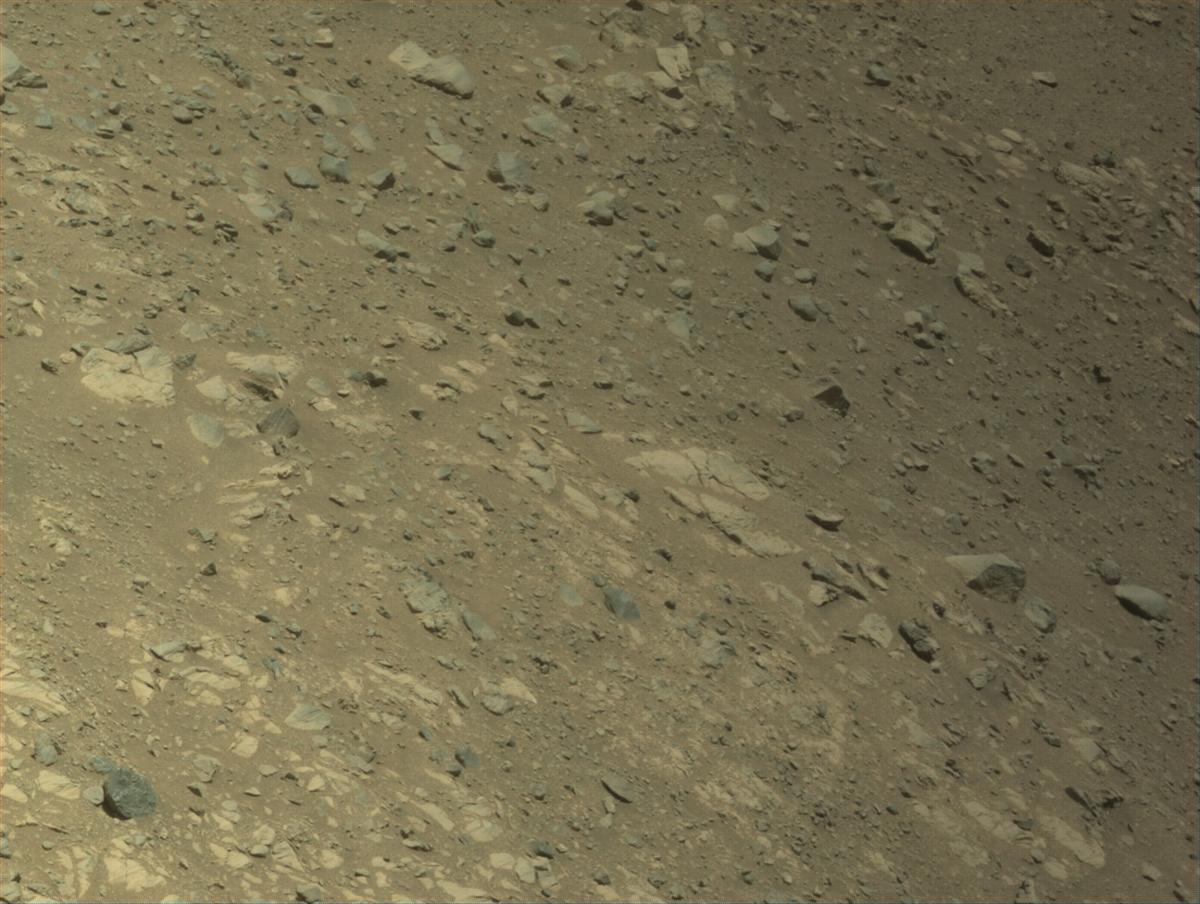 This image was taken by NAVCAM_LEFT onboard NASA's Mars rover Perseverance on Sol 1661