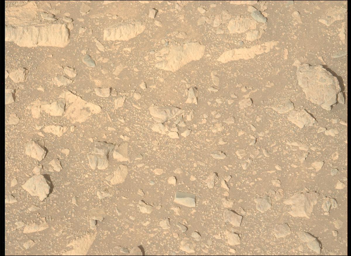 This image was taken by MCZ_LEFT onboard NASA's Mars rover Perseverance on Sol 1661