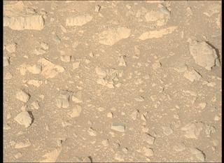 View image taken on Mars, Mars Perseverance Sol 1661: Left Mastcam-Z Camera