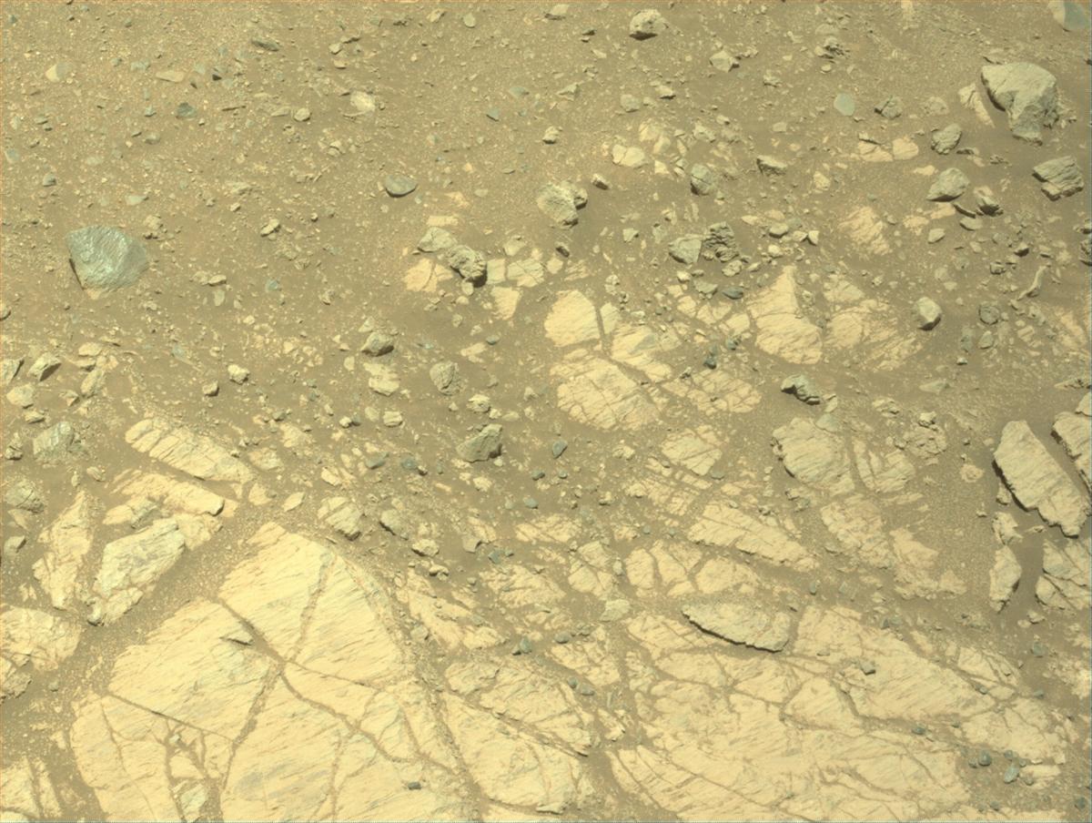 This image was taken by NAVCAM_LEFT onboard NASA's Mars rover Perseverance on Sol 1662