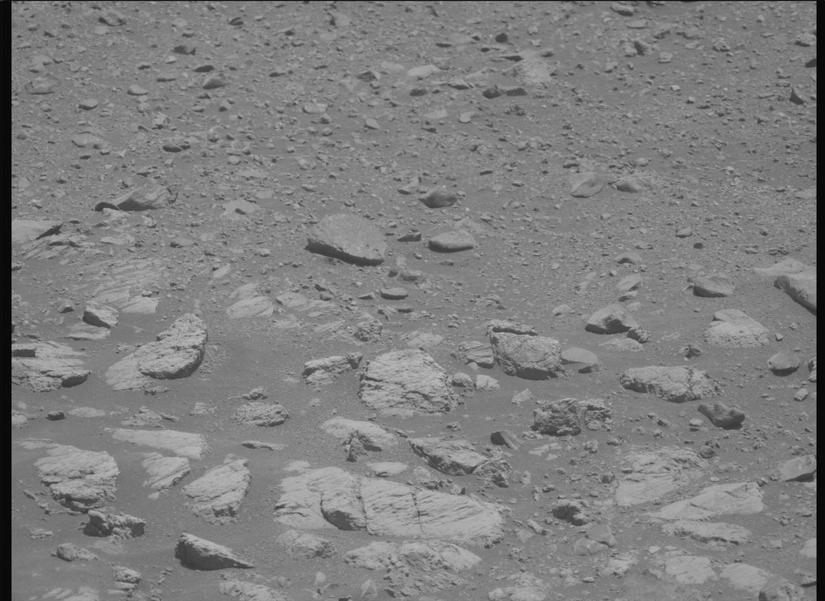 This image was taken by MCZ_LEFT onboard NASA's Mars rover Perseverance on Sol 1662