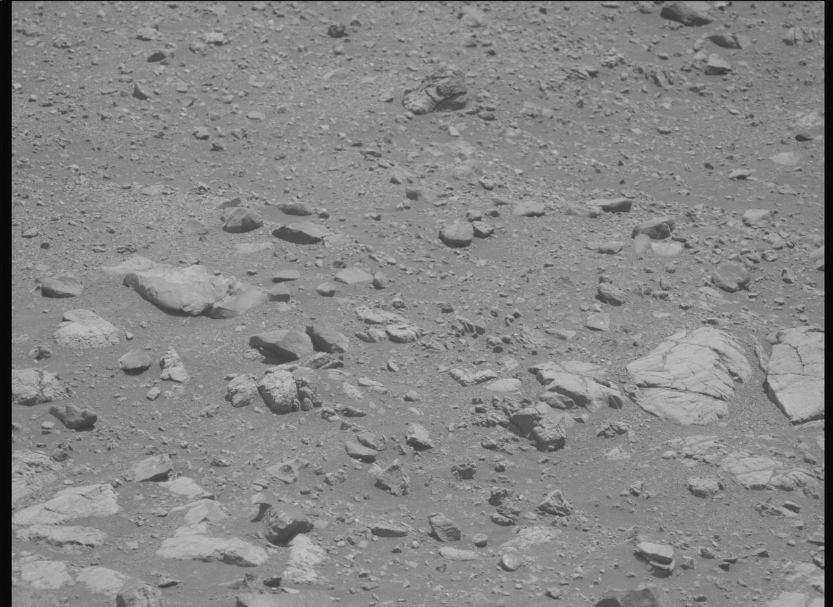 This image was taken by MCZ_LEFT onboard NASA's Mars rover Perseverance on Sol 1662
