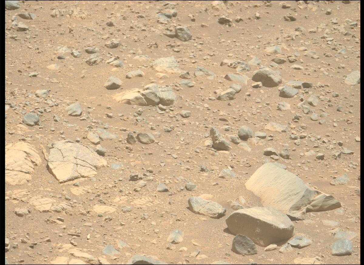 This image was taken by MCZ_LEFT onboard NASA's Mars rover Perseverance on Sol 1662