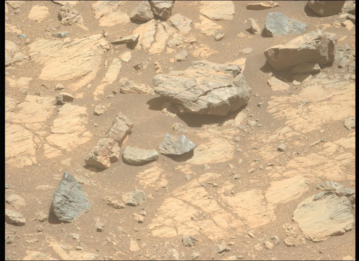 This image was taken by MCZ_LEFT onboard NASA's Mars rover Perseverance on Sol 1662