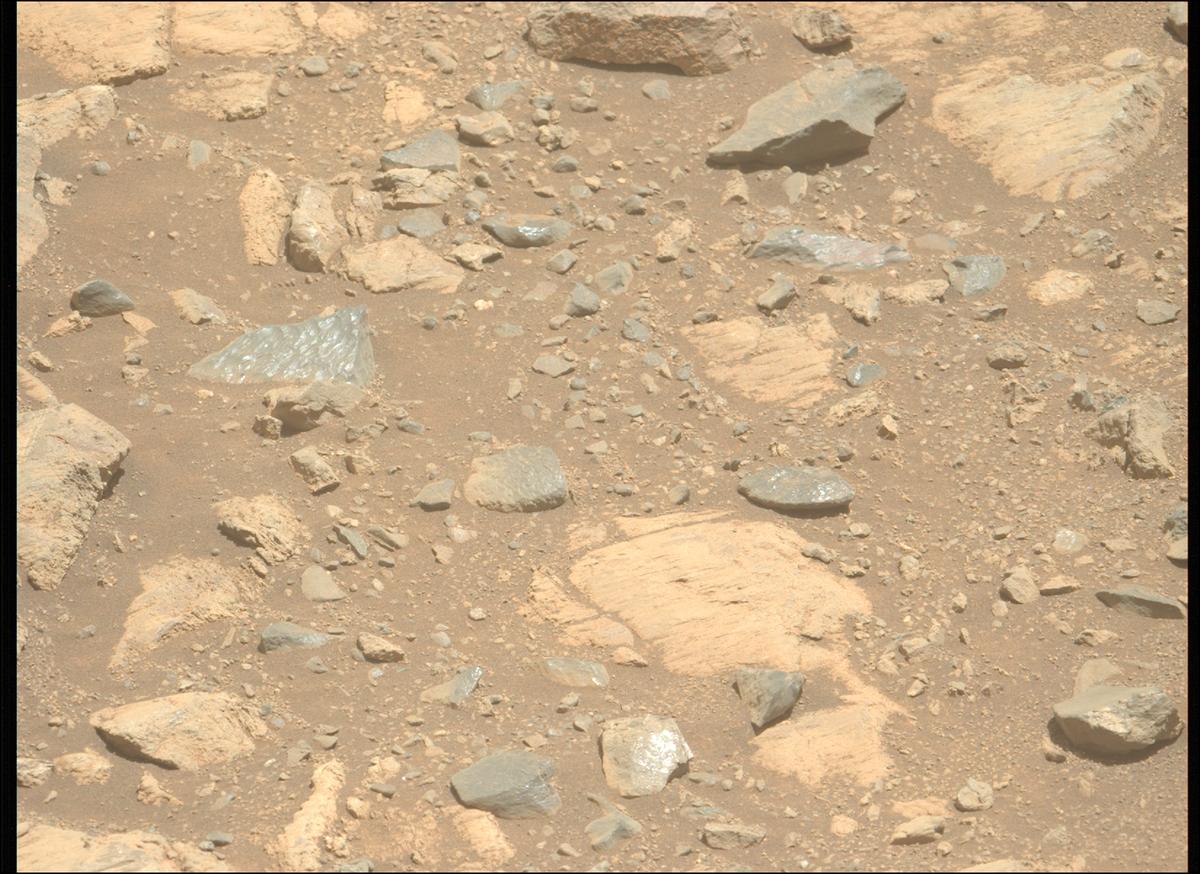 This image was taken by MCZ_LEFT onboard NASA's Mars rover Perseverance on Sol 1662