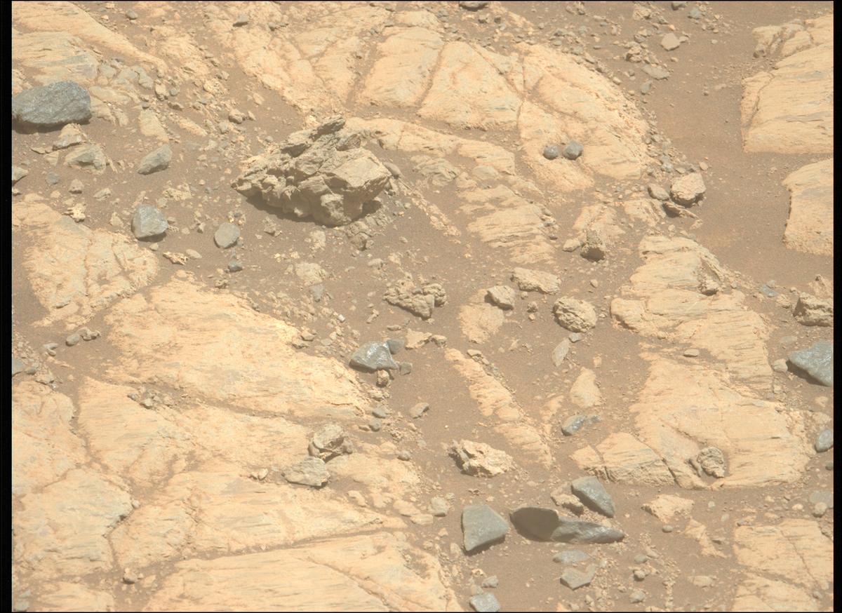 This image was taken by MCZ_LEFT onboard NASA's Mars rover Perseverance on Sol 1662
