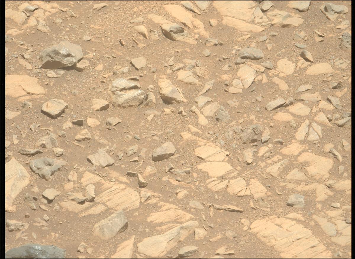 This image was taken by MCZ_LEFT onboard NASA's Mars rover Perseverance on Sol 1662